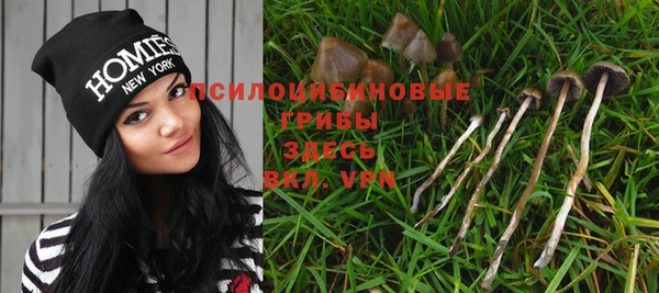 прущий лед Арсеньев