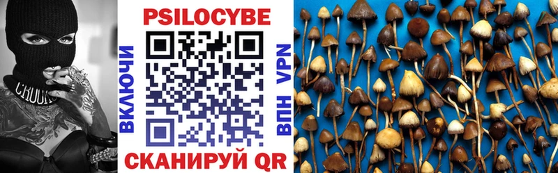 Купить закладки  Почеп  Псилоцибиновые грибы прущие грибы 